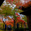 箱根　箱根美術館-2 (X-E1試写)