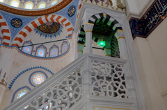 Tokyo Camii 12(XF1855)