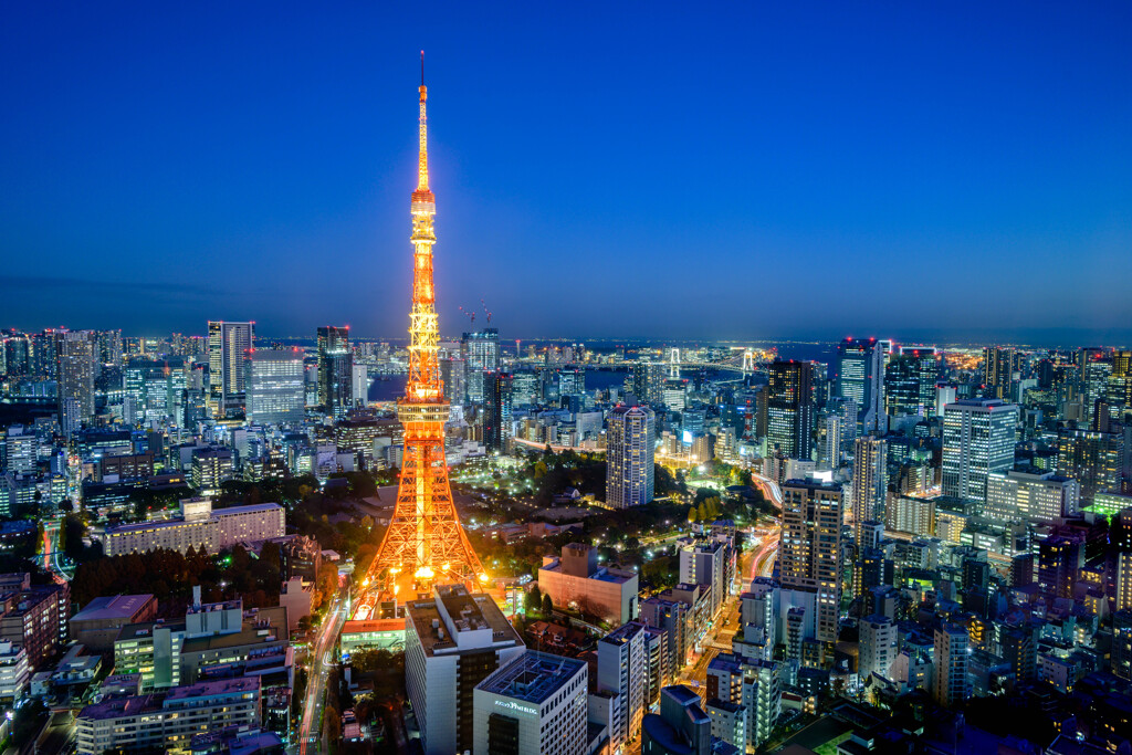 TOKYO NIGHT VIEWS - 61