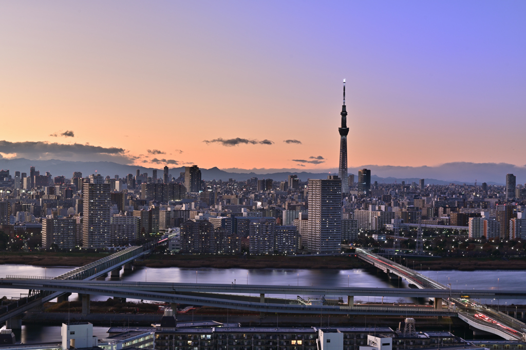 TOKYO NIGHT VIEWS - 42