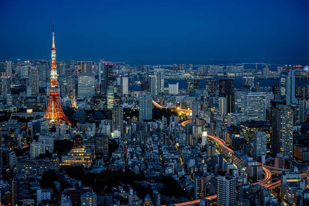 TOKYO NIGHT VIEWS - 41