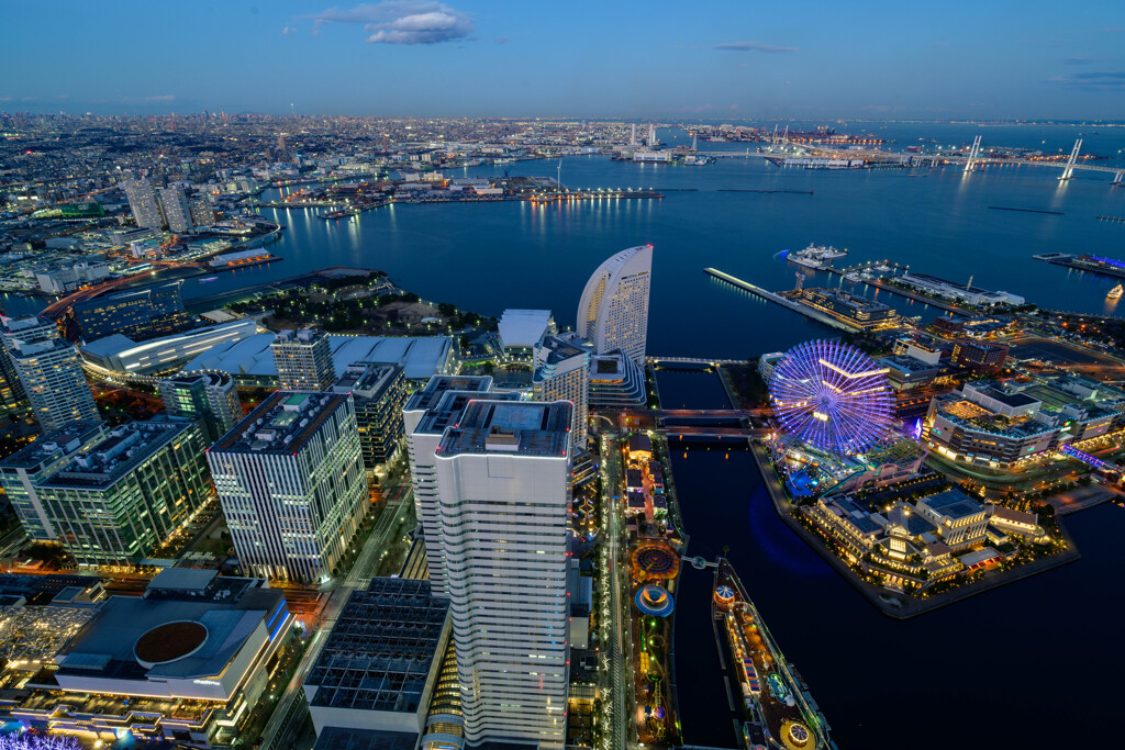 YOKOHAMA NIGHT VIEWS