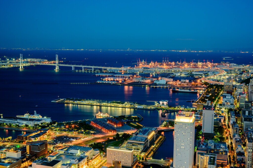 YOKOHAMA NIGHT VIEWS