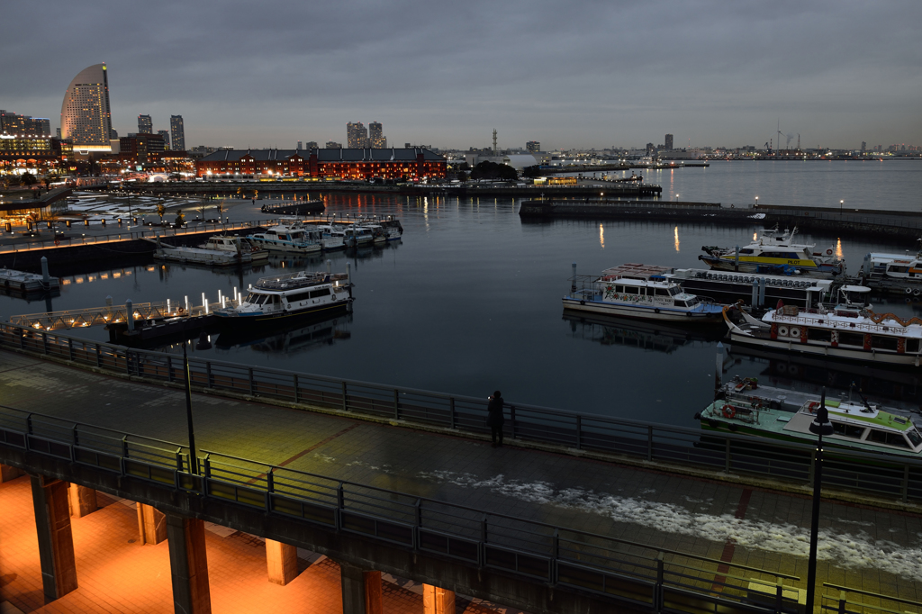YOKOHAMA evening view