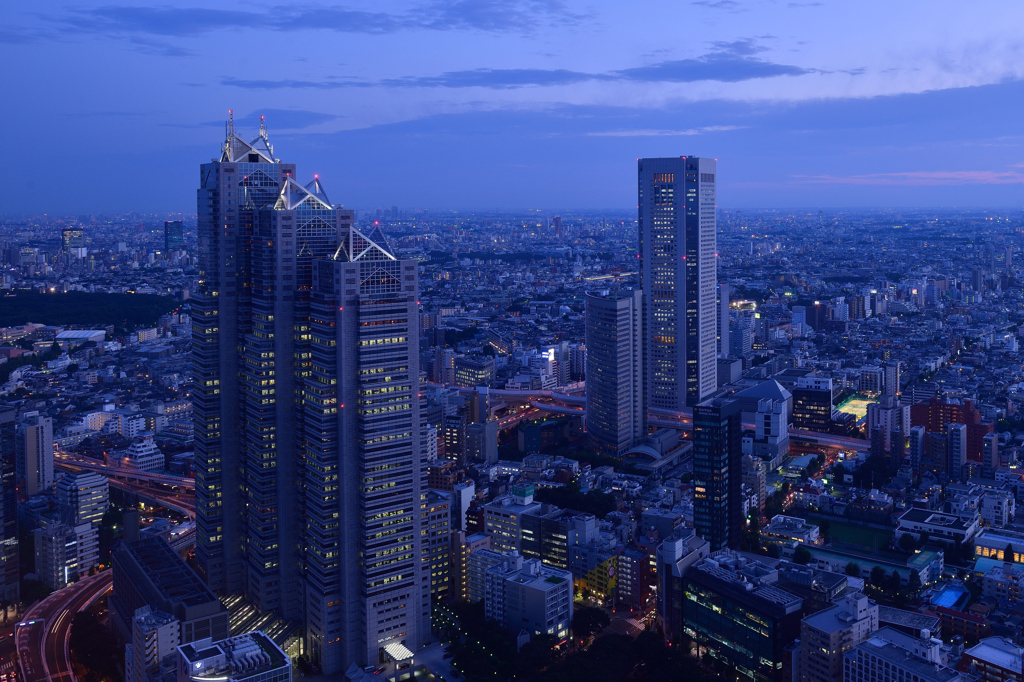 TOKYO NIGHT VIEWS-2