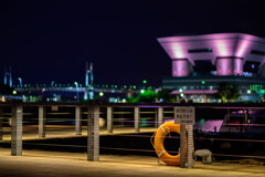 YOKOHAMA SNAPSHOT-51