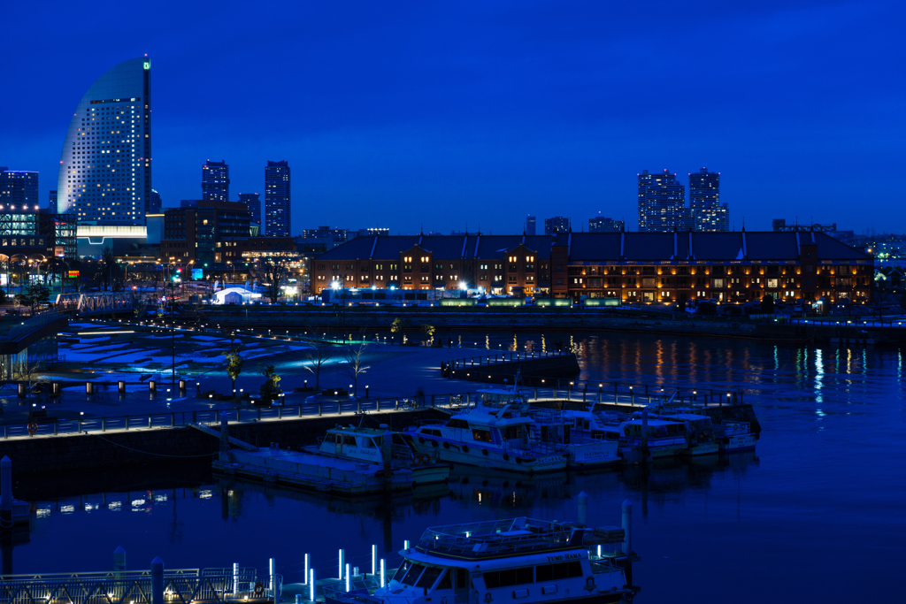 YOKOHAMA BLUE NIGHT VIEW