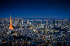 TOKYO NIGHT VIEWS - 45