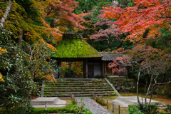 京都　善気山　法然院