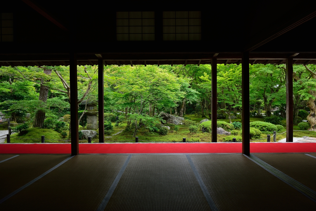 京都 瑞巌山 圓光寺-3