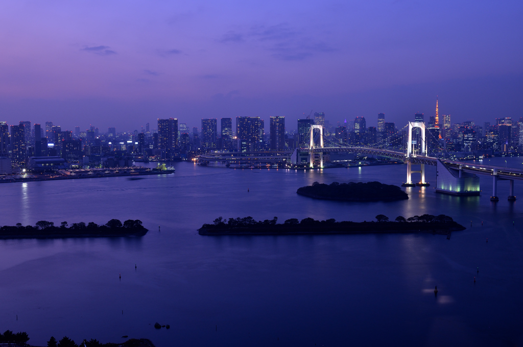 TOKYO NIGHT VIEWS-17