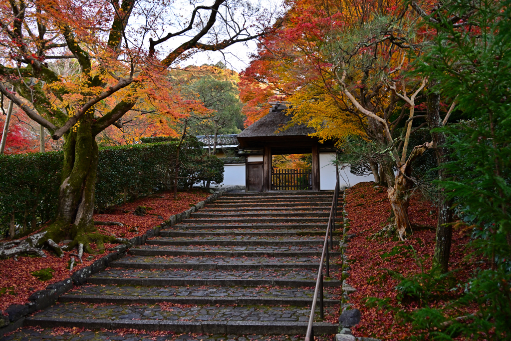 京都　住蓮山　安楽寺