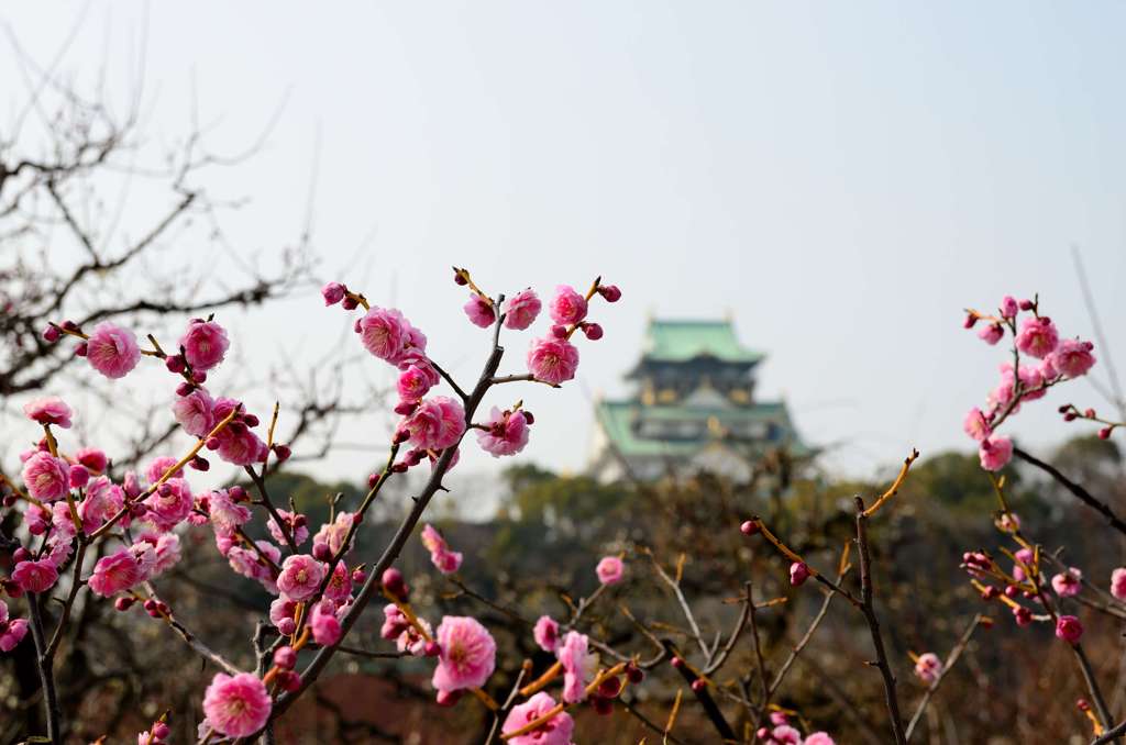 大阪城