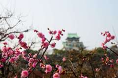 大阪城