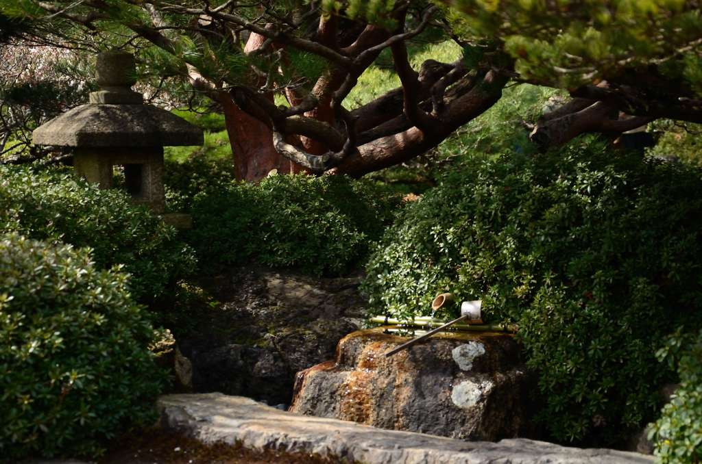 日本庭園
