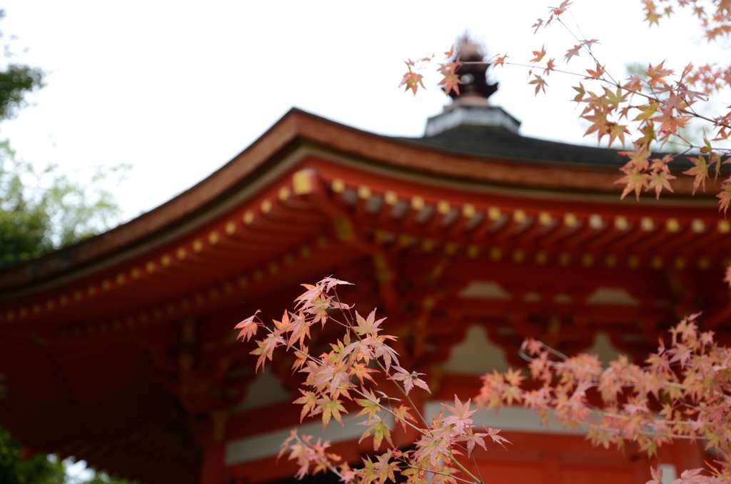もみじと寺