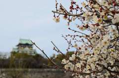 大阪城