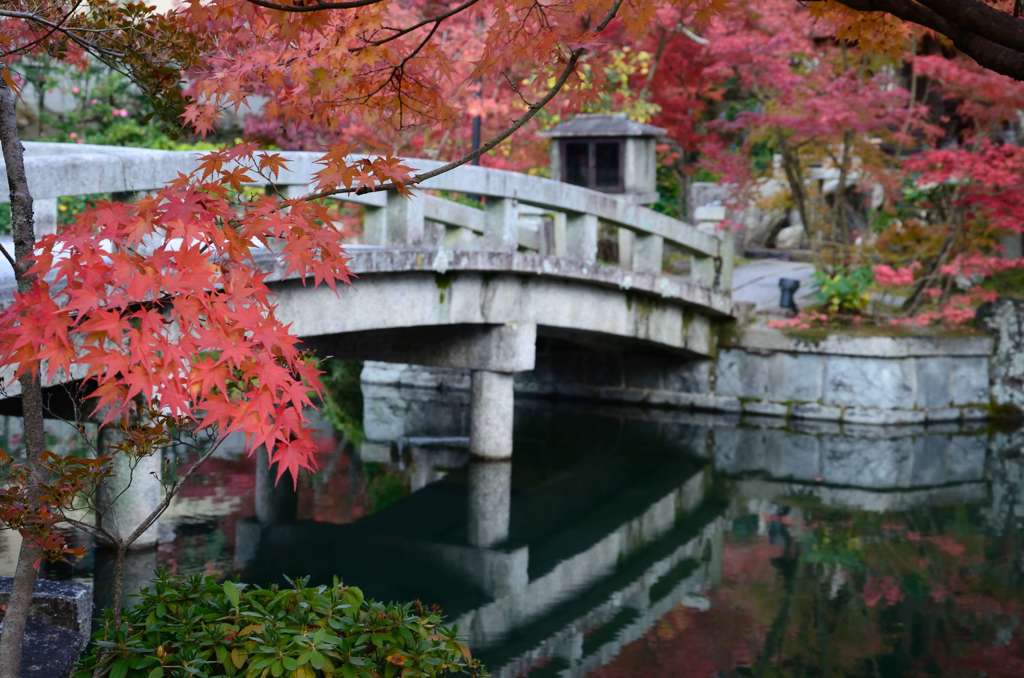 紅葉と橋