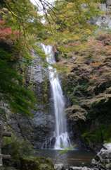 箕面の滝