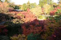 東福寺