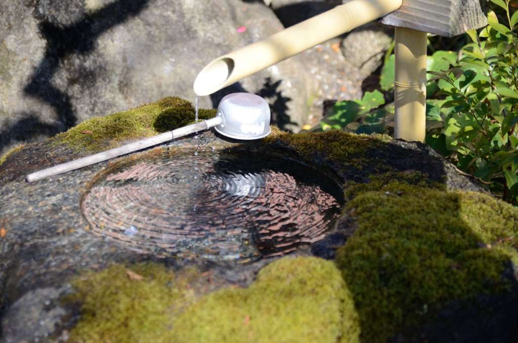 水