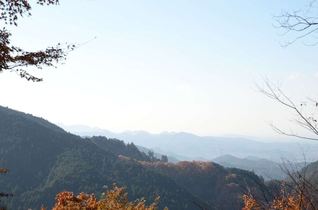 ちょっと紅葉