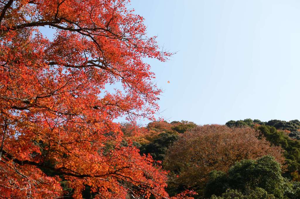 箕面公園