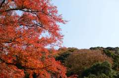 箕面公園