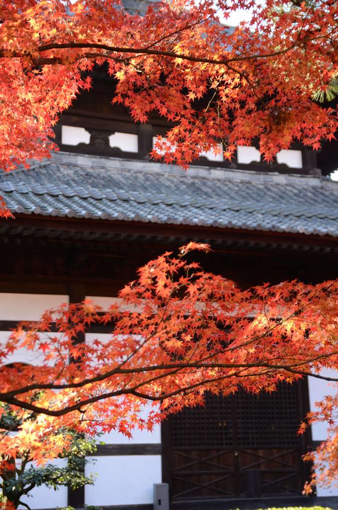東福寺