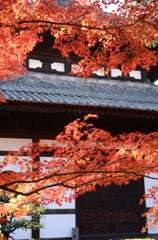 東福寺