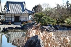 當麻寺