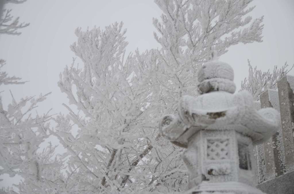 霧氷
