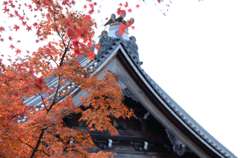 永観寺