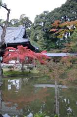 高台寺庭園
