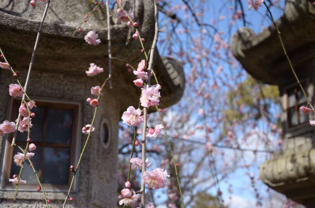 北野天満宮