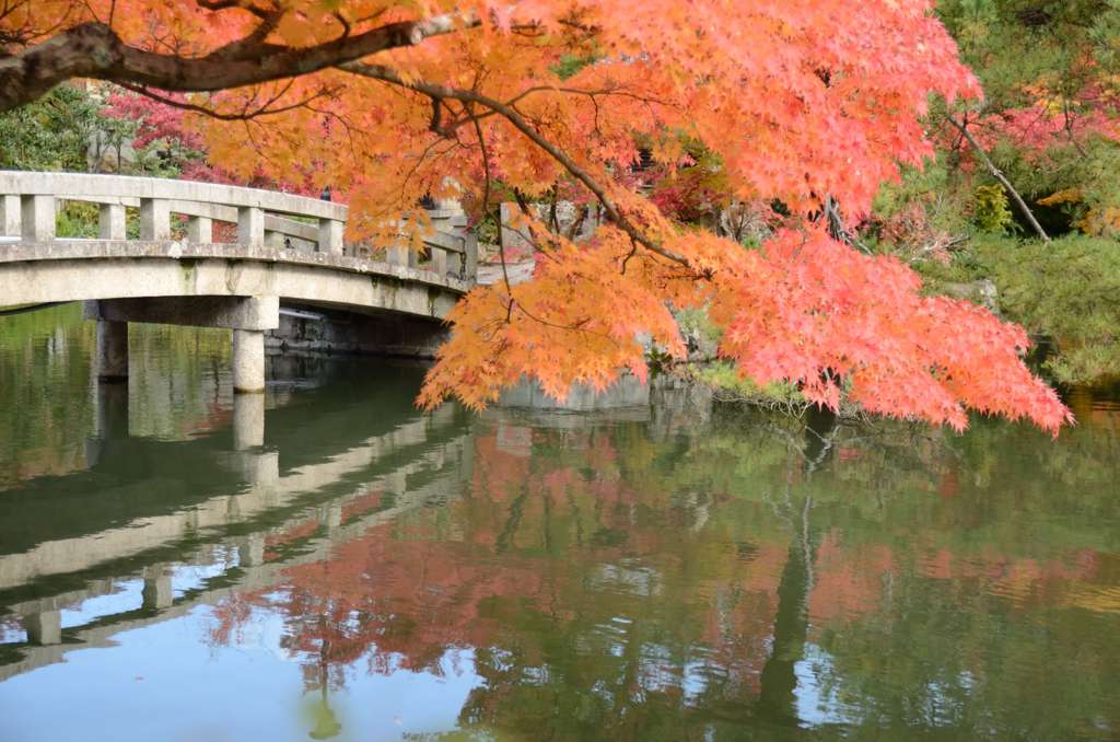 永観寺