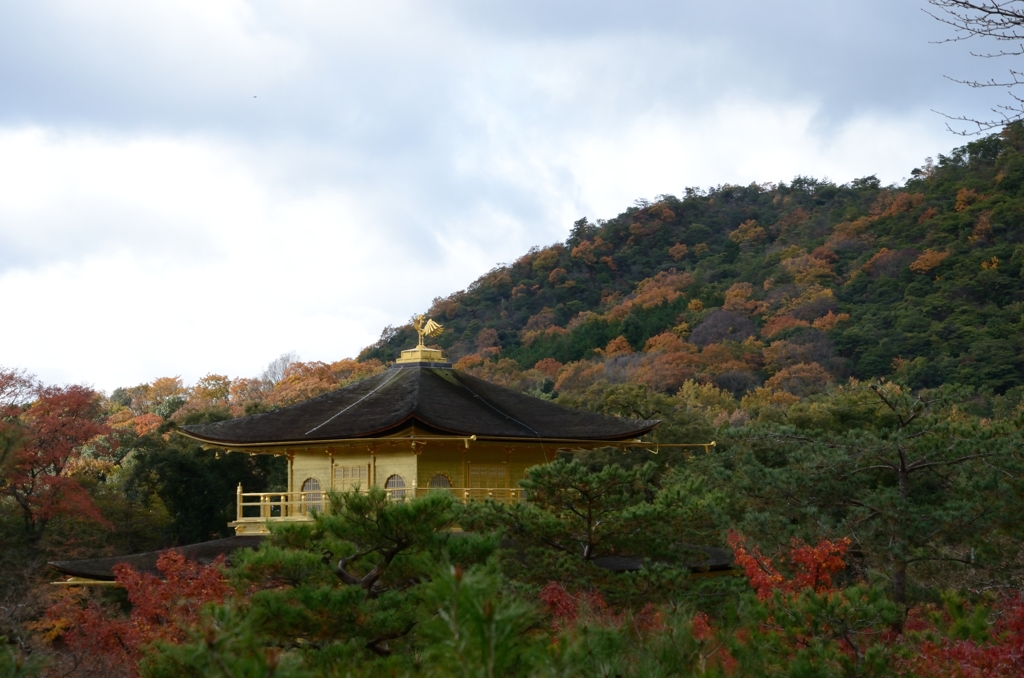 金閣寺