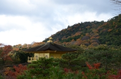 金閣寺