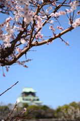 大阪城