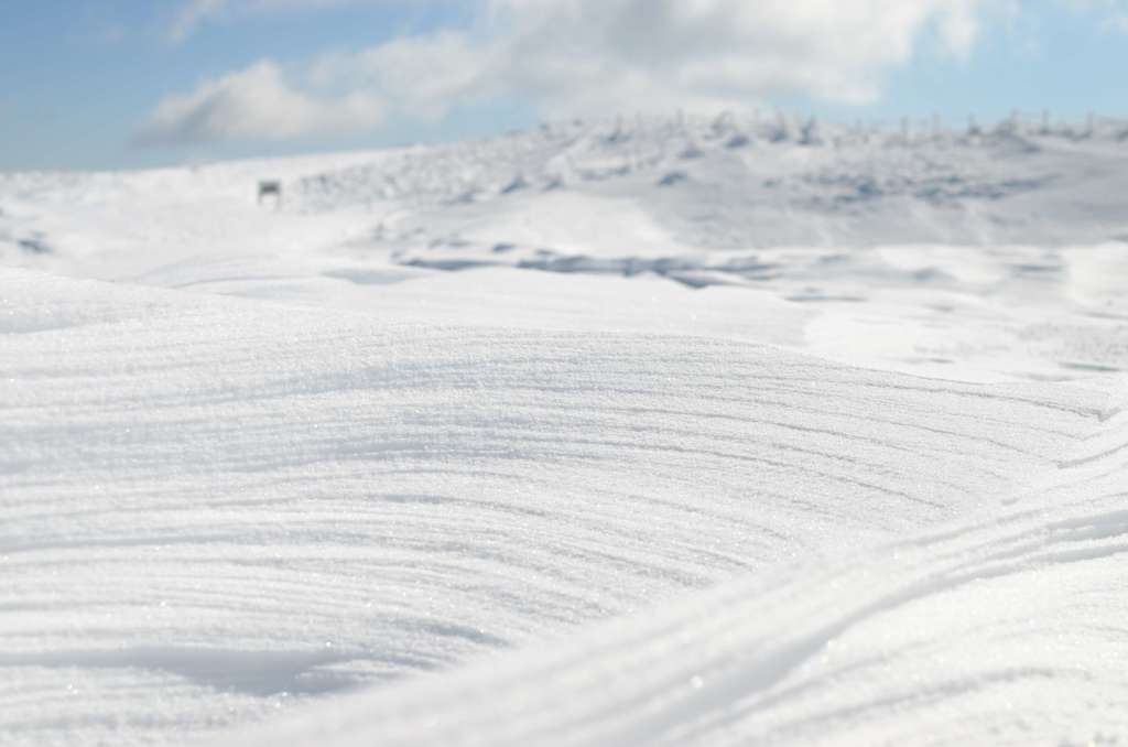 伊吹山山頂の雪