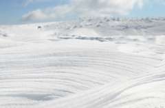 伊吹山山頂の雪