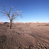 Dry Country。