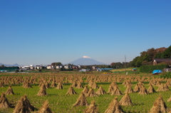 地元近くからの秋の富士山。