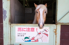注意事項。