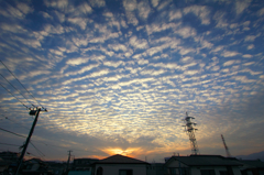 秋の空。