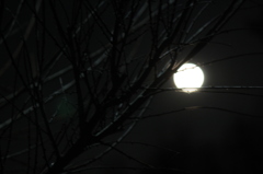 月が満ちる夜