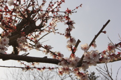 来年もよろしく