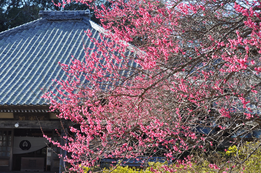 了仙寺