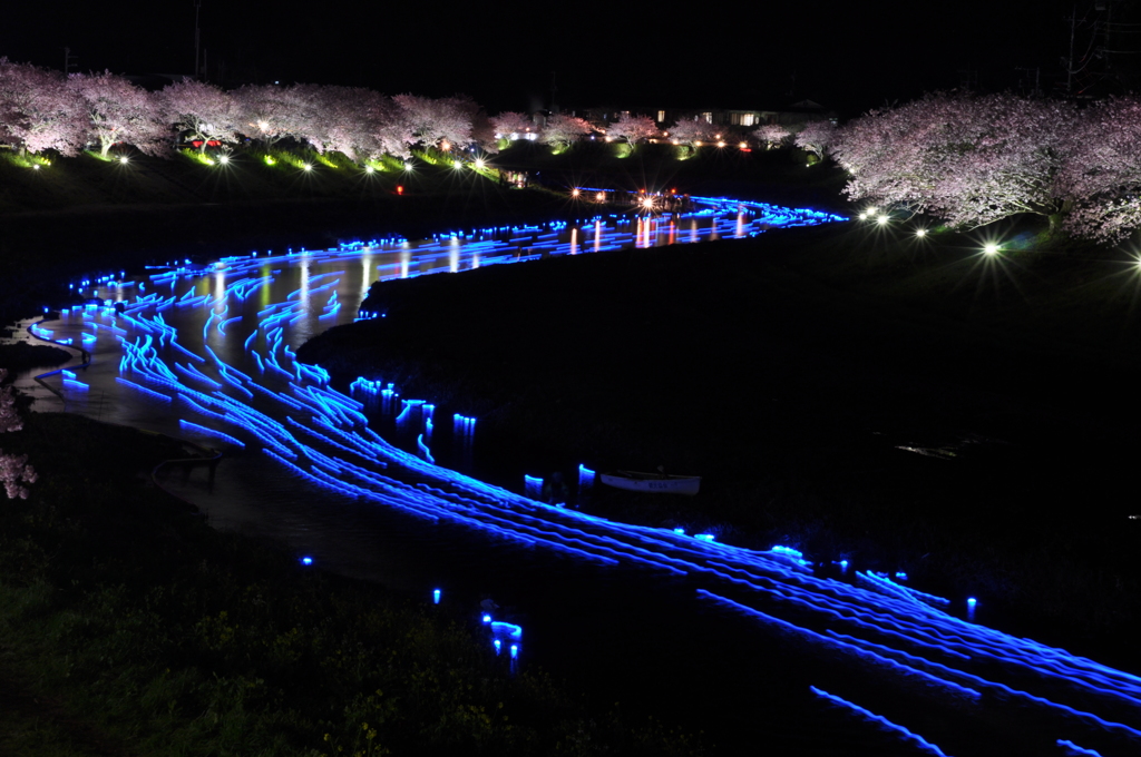 夜桜青流れ