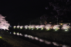 川べり